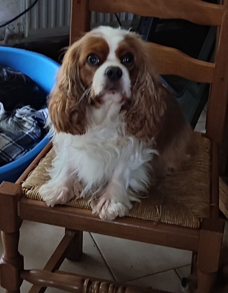 Bientôt des bébés ??