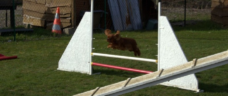 Agility