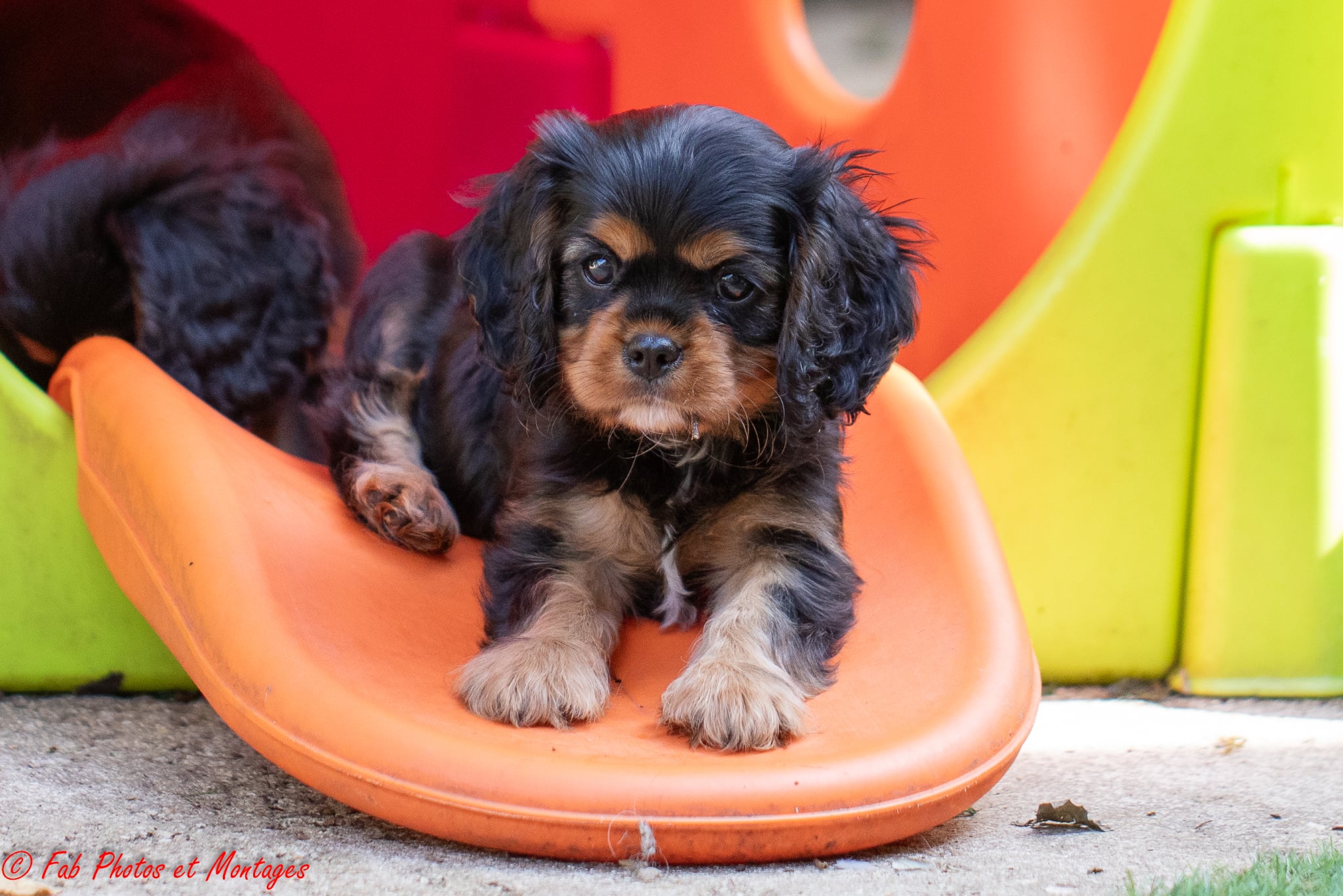 Du Mont Des Crocs Blancs